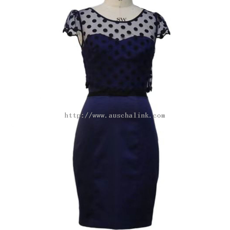 OEM/ODM New Short-sleeve Mesh Round Neck Polka Dot Flared Professional Dress for Women